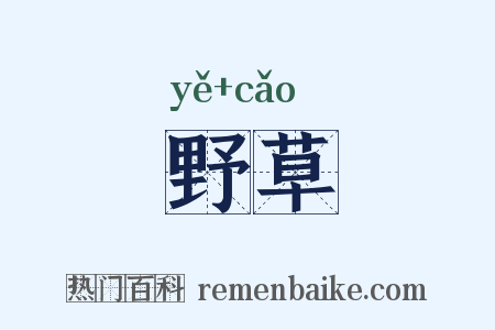 野草是什么意思的图片